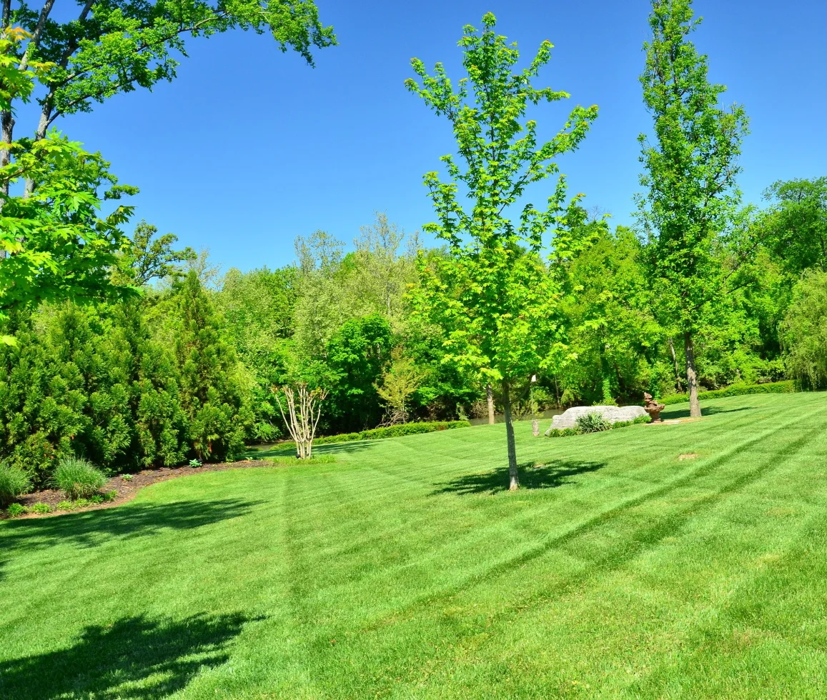 Entretien de jardin Grall Espace Vert